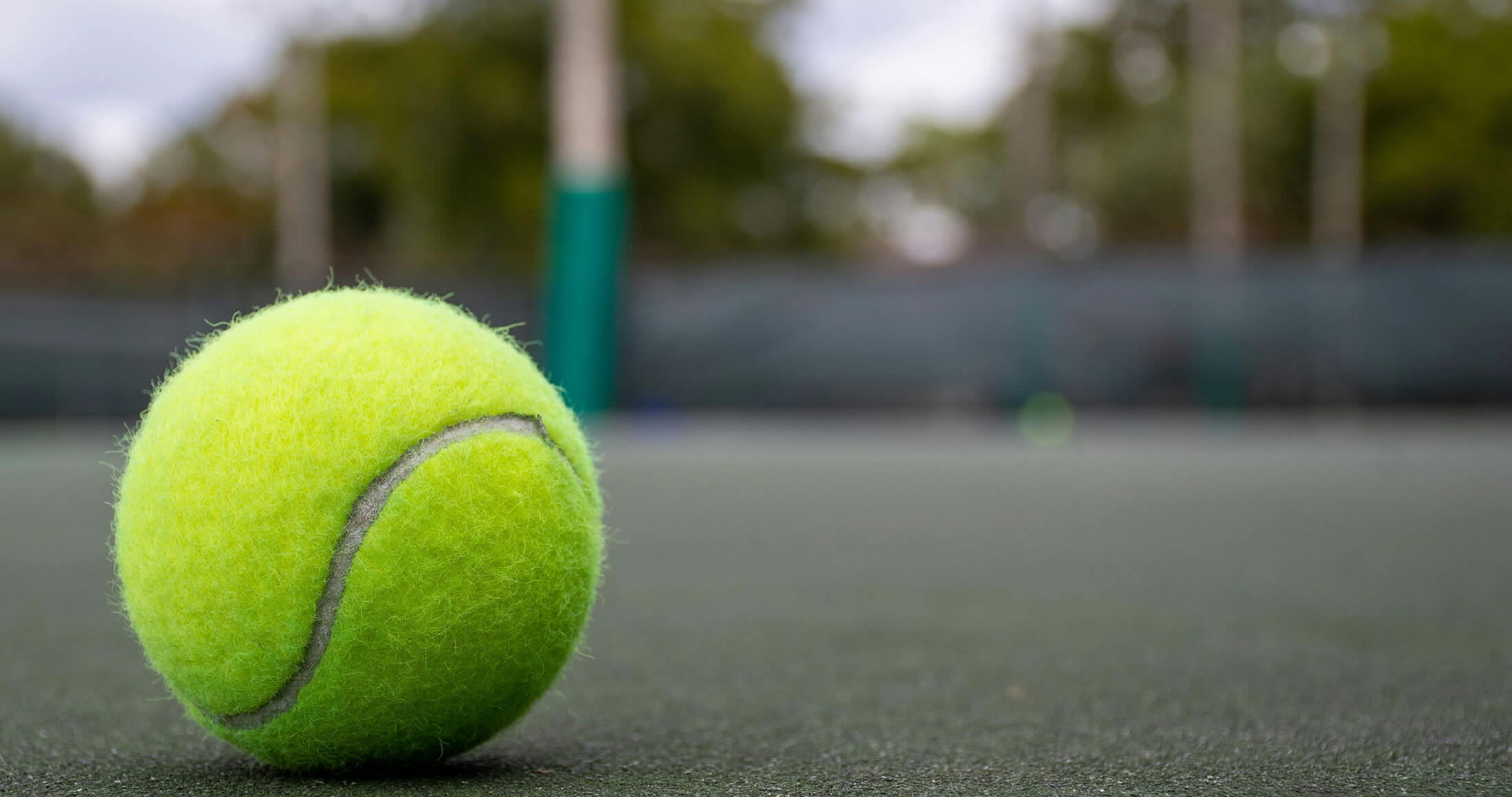 Tennis ball on grass court
